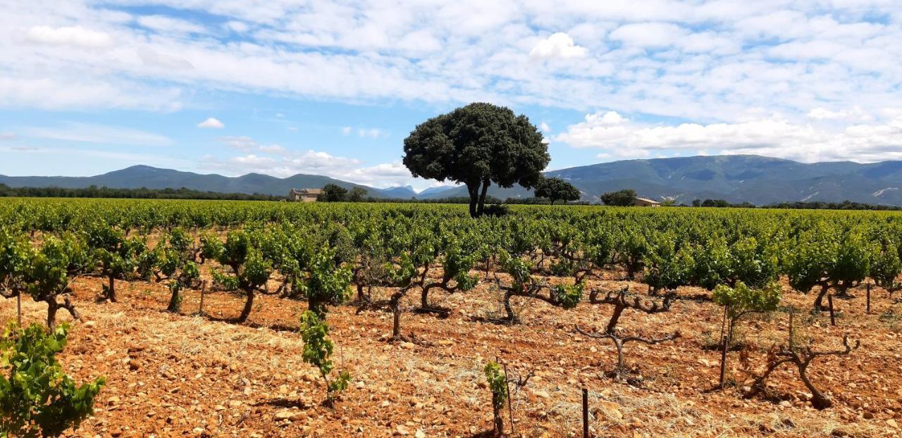 L'Instant Provence Villa Valreas Bagian luar foto