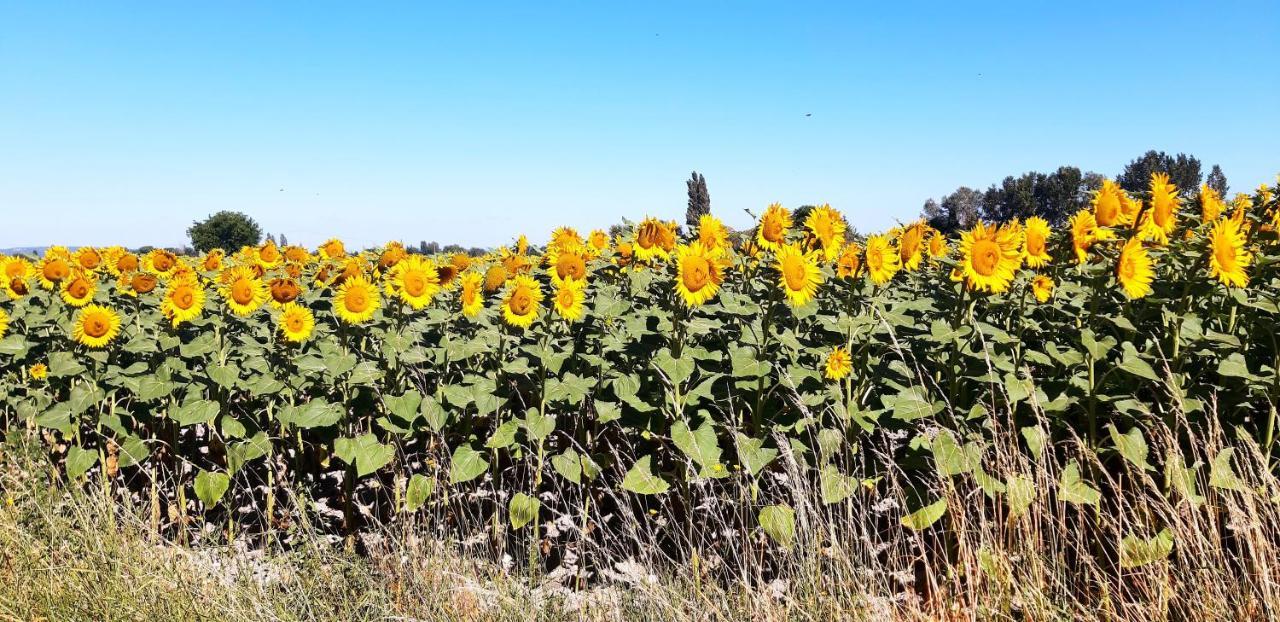 L'Instant Provence Villa Valreas Bagian luar foto